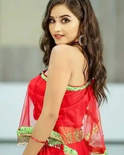 Call Girls Service Ameerpet
